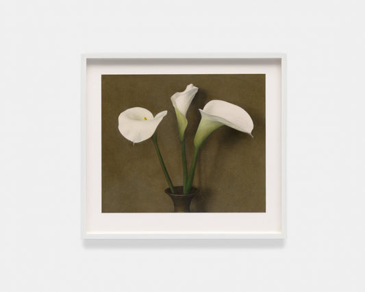 Katharina Renneisen: Callas