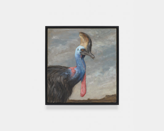 Max Renneisen: Study of a Cassowary's Head